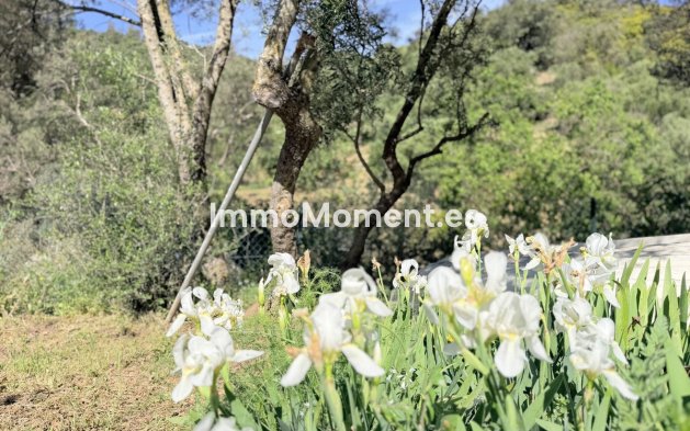 Resale - Country house - Casares - Casares Centro