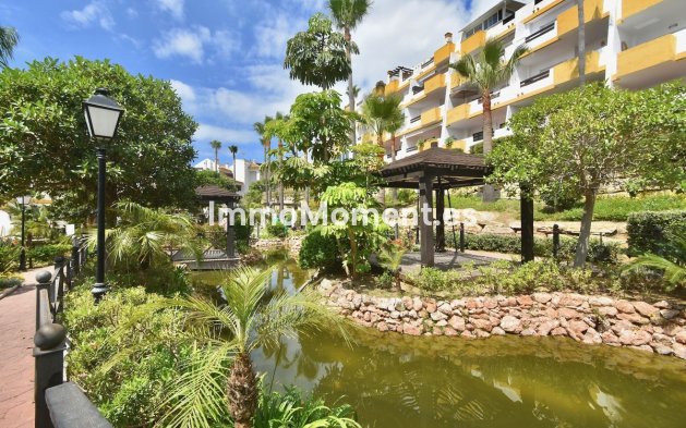 Bestaande woning - Appartement - Mijas - Calanova Golf