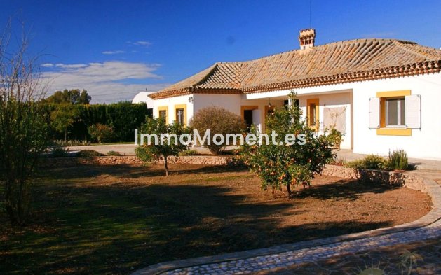 Resale - Villa - Lorca - Lorca Centro