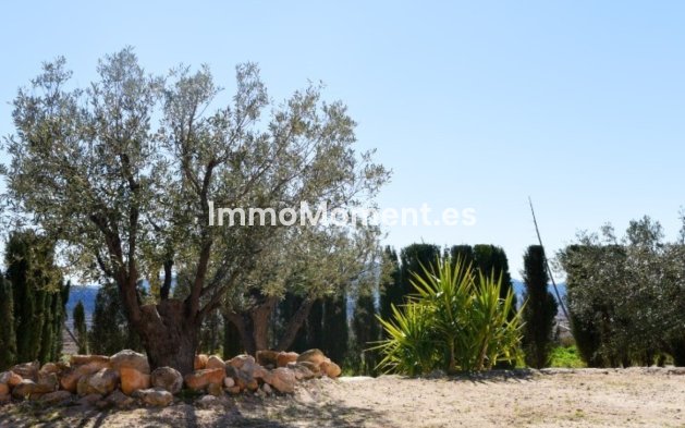 Reventa - Villa independiente - Pinoso - Pinoso Centro