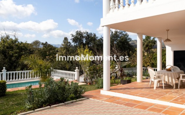 Revente - Villa individuelle - Marbella - Marbella Centro