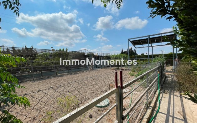 Reventa - Villa independiente - San Fulgencio - La Marina