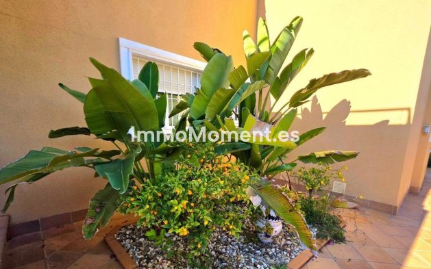 Reventa - Villa independiente - Orihuela - Campoamor