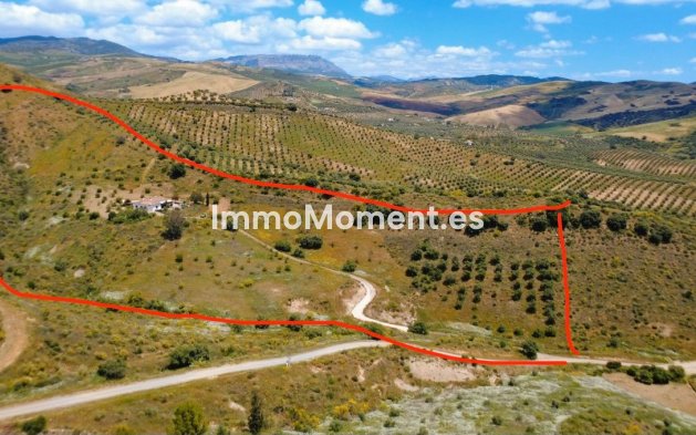 Reventa - Villa independiente - Interior  - Alora