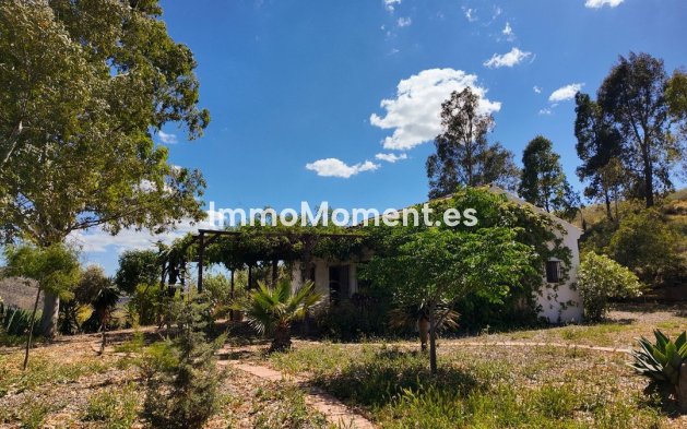 Revente - Maison de campagne - Intérieur                       - Alora