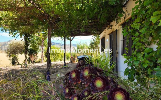 Revente - Maison de campagne - Intérieur                       - Alora