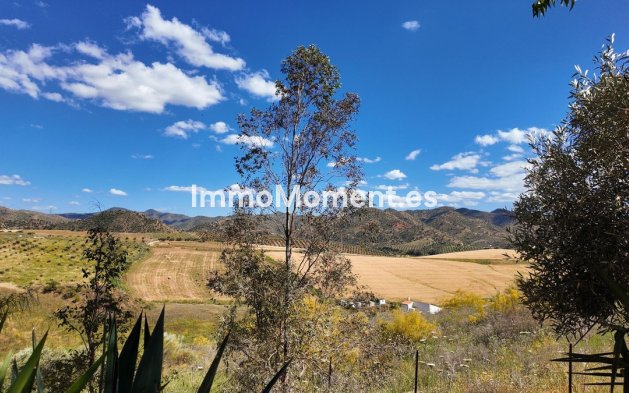 Revente - Maison de campagne - Intérieur                       - Alora
