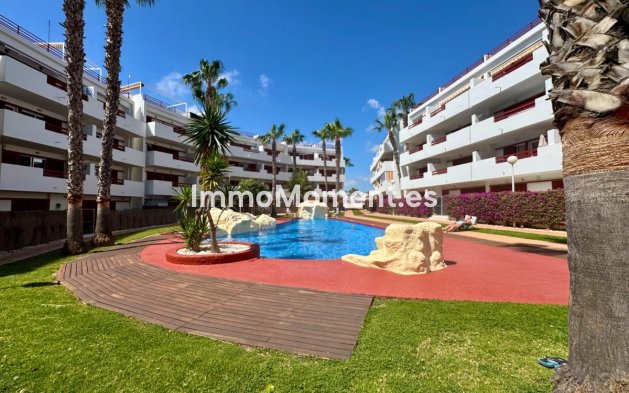 Wiederverkauf - Wohnung - Orihuela - Punta Prima