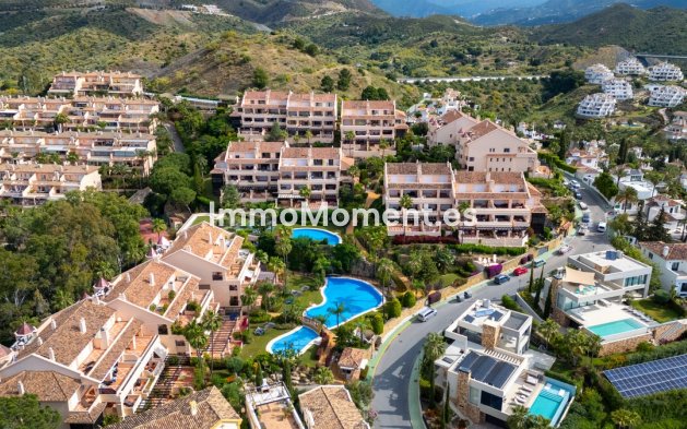 Resale - Apartment - Marbella - Nueva Andalucía