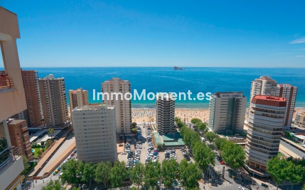 Wiederverkauf - Wohnung - Benidorm - Benidorm Centro