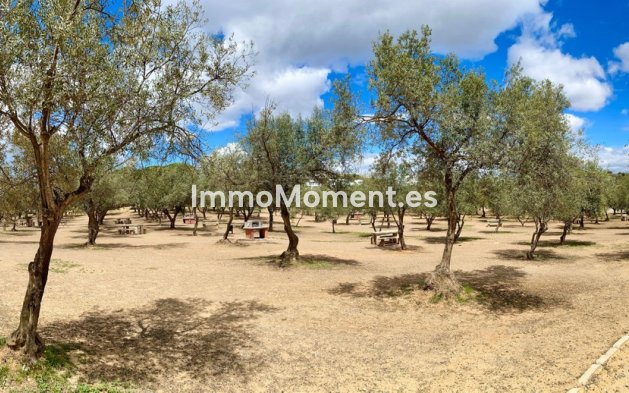 Wiederverkauf - Wohnung - Mijas - La Cala de Mijas