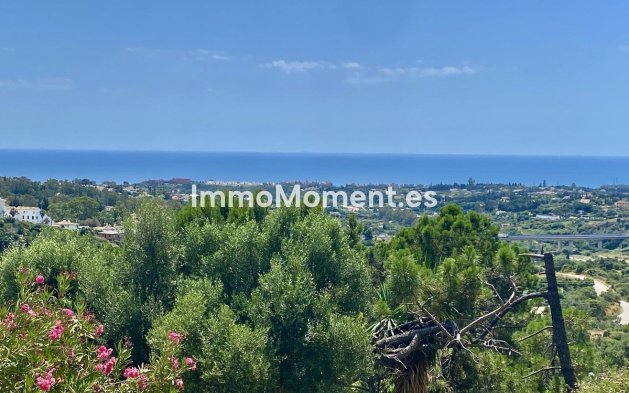 Wiederverkauf - Freistehende Villa - Estepona  - El Padron