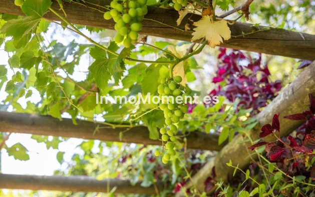 Reventa - Villa independiente - Benahavís - Benahavís Centro