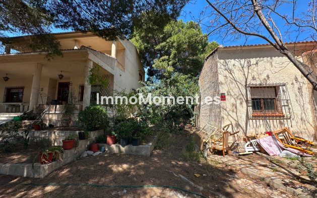 Revente - Villa individuelle - Torrevieja - Torrevieja Centro