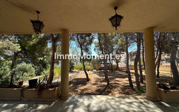 Revente - Villa individuelle - Torrevieja - Torrevieja Centro