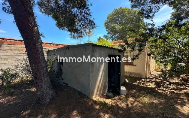 Revente - Villa individuelle - Torrevieja - Torrevieja Centro