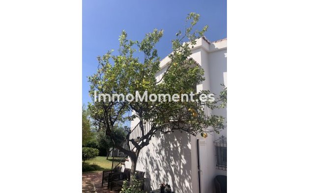 Wiederverkauf - Freistehende Villa - Marbella - San Pedro de Alcántara