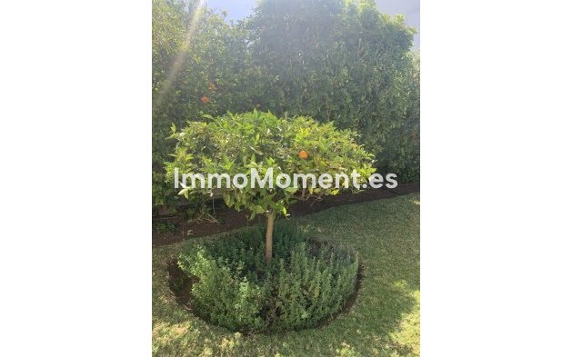 Wiederverkauf - Freistehende Villa - Marbella - San Pedro de Alcántara