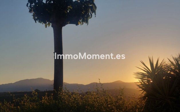 Reventa - Apartamento - Benahavís - Benahavís Centro