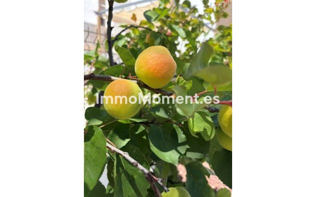 Reventa - Adosado - Orihuela - Los Balcones