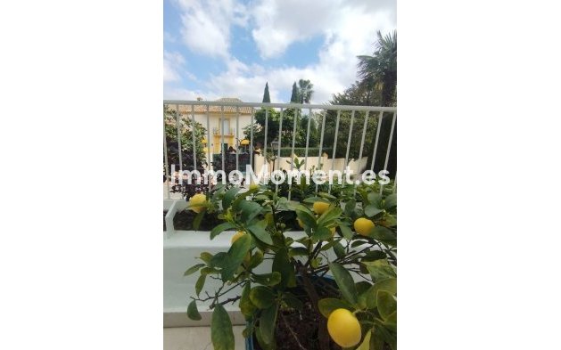 Resale - Apartment - Marbella - Marbella Centro