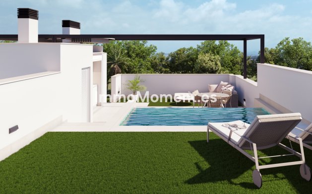 Construction neuve - Low-bungalow - Pilar de la Horadada