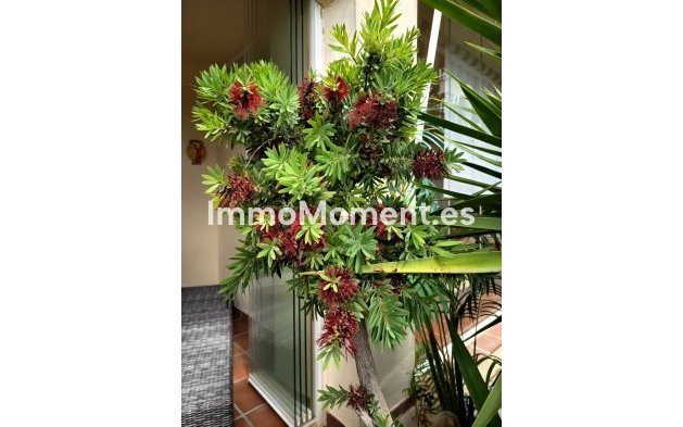 Revente - Appartement - Mijas - La Cala Hills