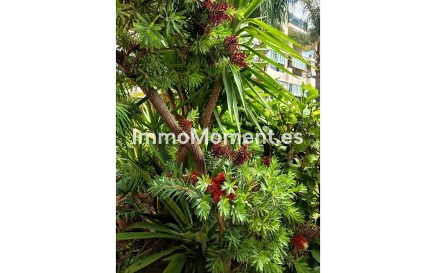 Revente - Appartement - Mijas - La Cala Hills