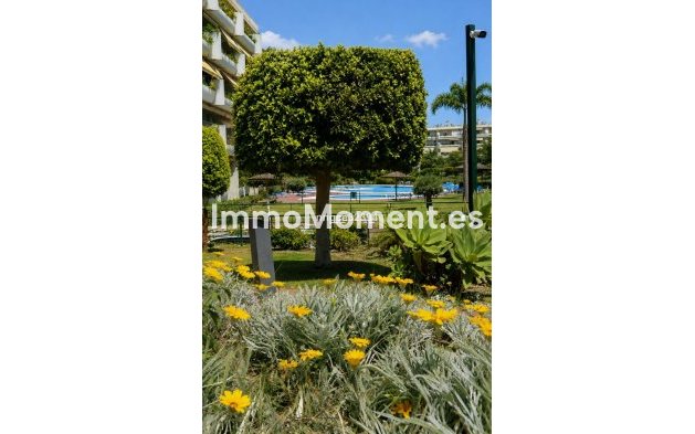 Resale - Apartment - Marbella - San Pedro de Alcántara