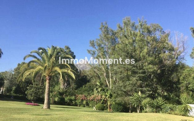 Bestaande woning - Appartement - Marbella - Nueva Andalucía