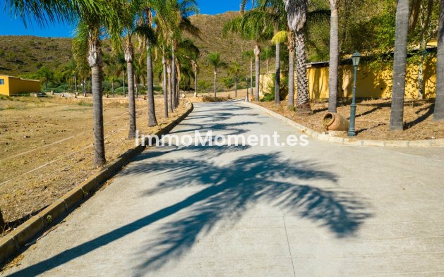 Bestaande woning - Landhuis - Mijas - Mijas Costa