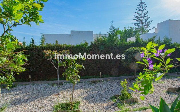 Wiederverkauf - Freistehende Villa - Torrevieja - Torre la mata