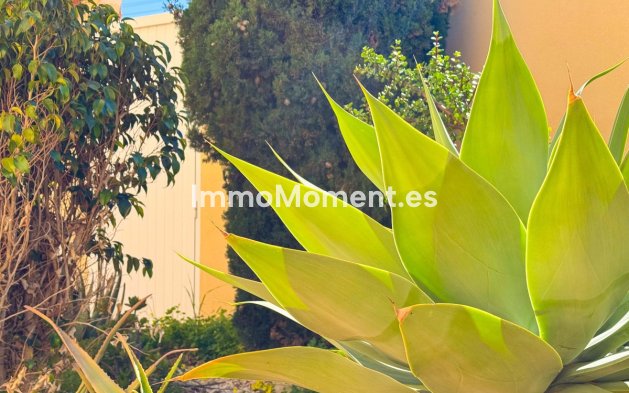Wiederverkauf - Freistehende Villa - Torrevieja - Torre la mata