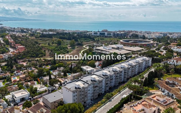 Revente - Appartement - Marbella - Nueva Andalucía