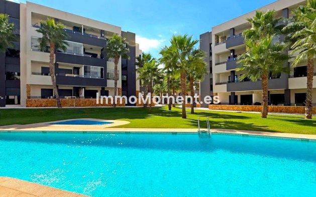Reventa - Apartamento - Orihuela - Los Altos