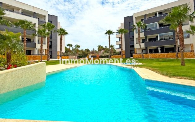 Reventa - Apartamento - Orihuela - Los Altos