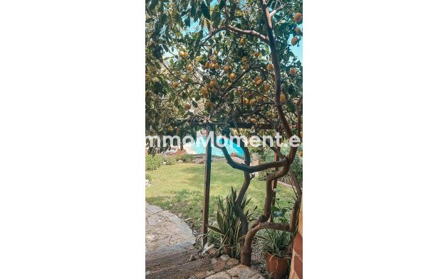 Reventa - Villa independiente - Marbella - Nueva Andalucía