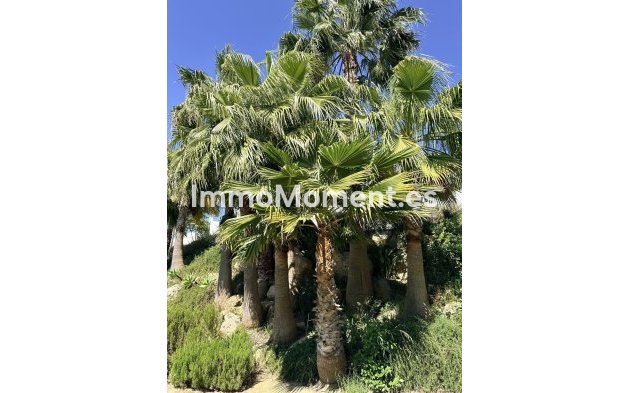 Bestaande woning - Appartement - Estepona  - Estepona Centro