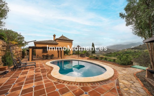 Reventa - Villa independiente - Interior  - Monda