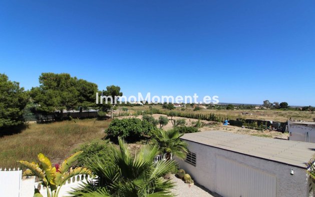 Wiederverkauf - Freistehende Villa - Elche - Elche Centro