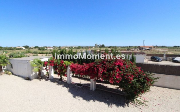Wiederverkauf - Freistehende Villa - Elche - Elche Centro