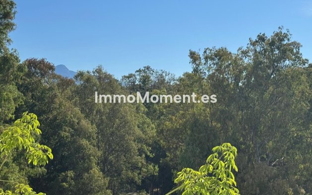 Bestaande woning - Appartement - Estepona  - Atalaya