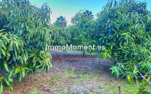 Resale - Country house - Estepona - Estepona Centro