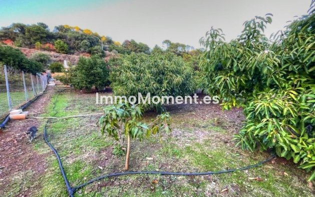 Resale - Country house - Estepona - Estepona Centro