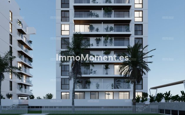 New Build - Penthouse - Guardamar del Segura