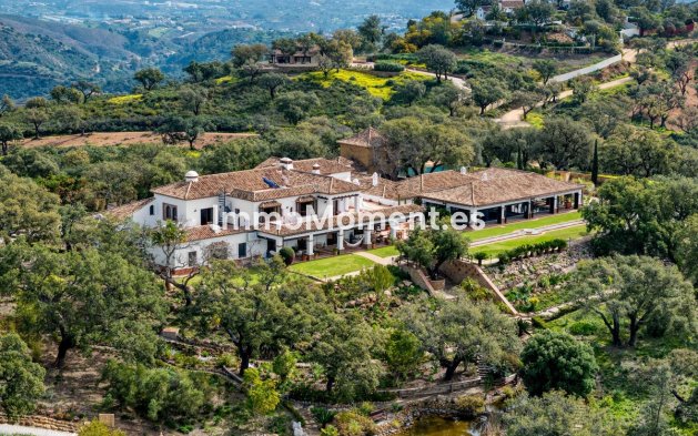 Revente - Villa individuelle - Marbella - La Mairena