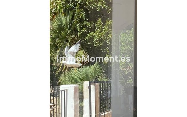 Resale - Detached villa - Denia - Denia Centro