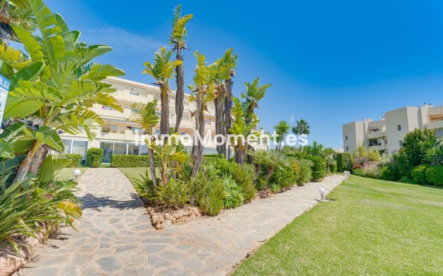 Bestaande woning - Appartement - Mijas - El Chaparral