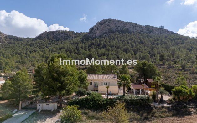 Wiederverkauf - Freistehende Villa - Jumilla - La Zarza