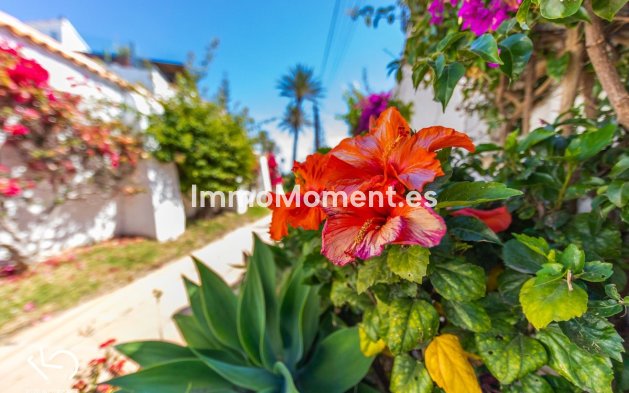 Bestaande woning - Vrijstaande villa - Estepona  - Estepona Centro